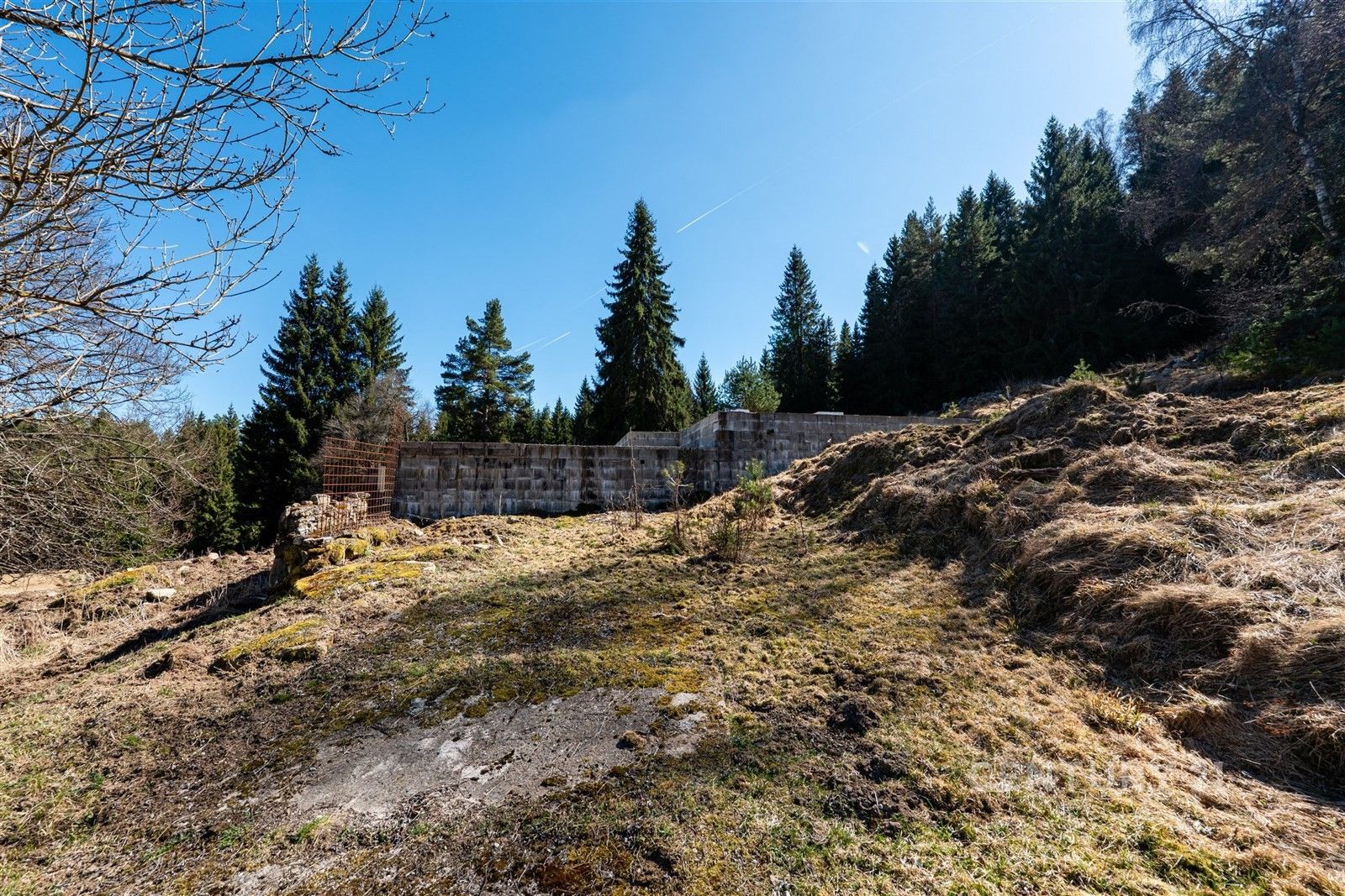 Prodej pozemku 10137 m² - foto 13