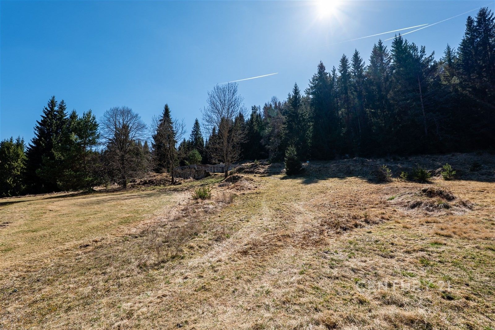 Prodej pozemku 10137 m² - foto 19