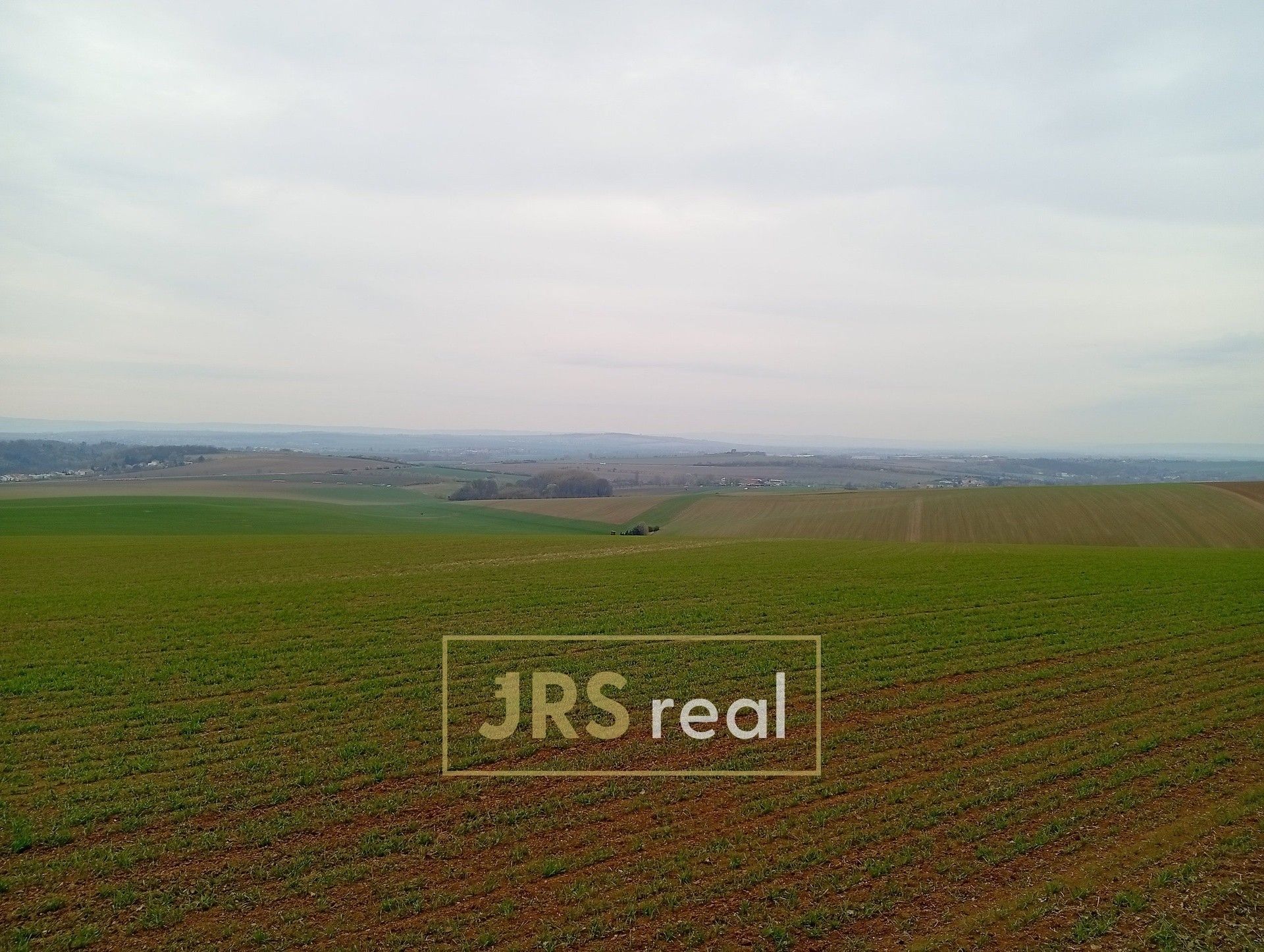 Prodej pozemku 2507 m² - foto 4