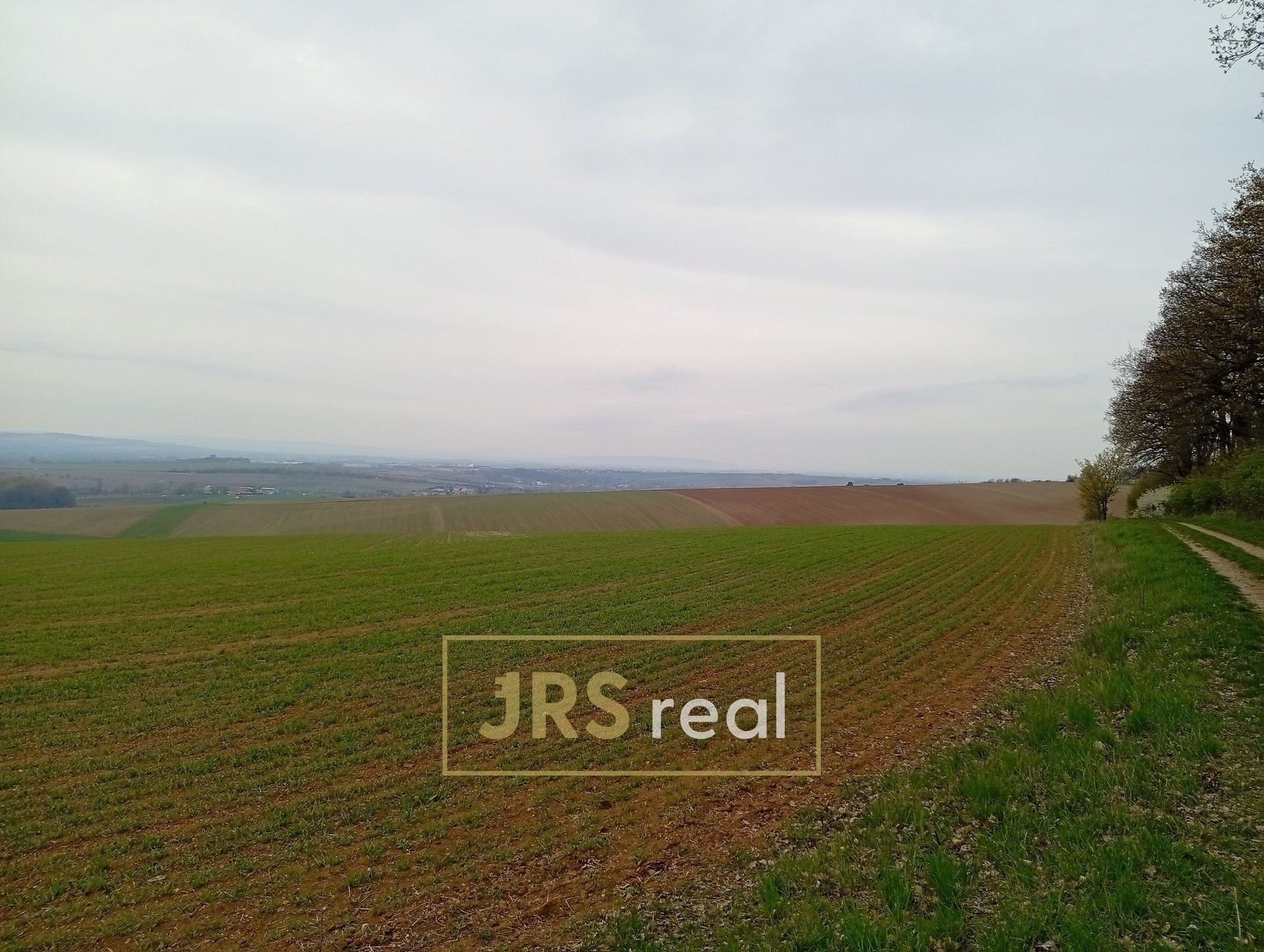 Prodej pozemku 2507 m² - foto 3