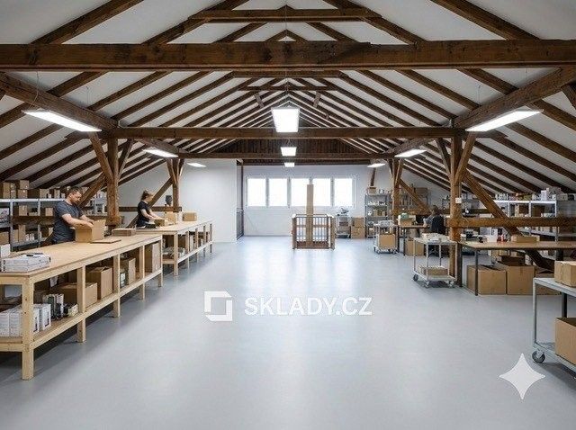Pronájem komerčního prostoru 670 m² - foto 4