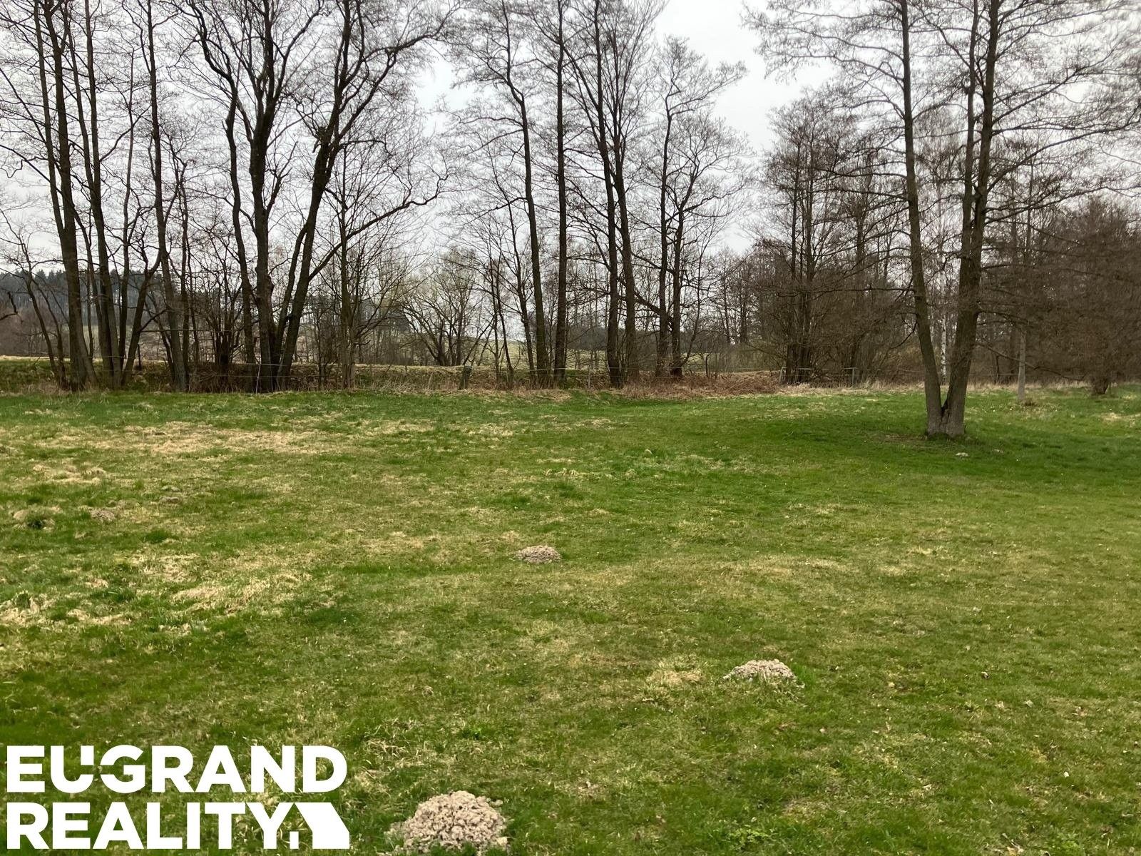 Prodej pozemku 4738 m² - foto 4