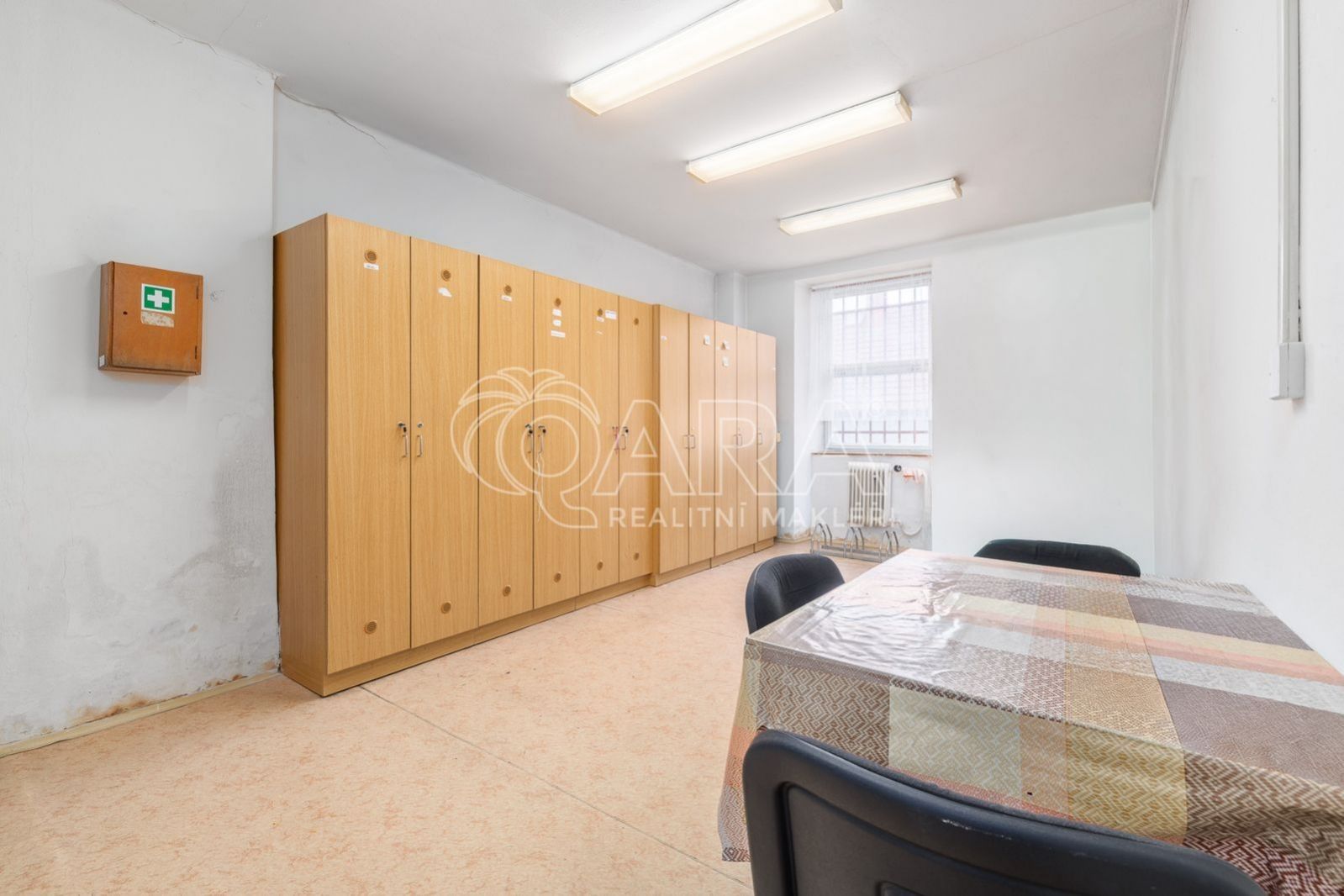 Prodej komerčního prostoru 124 m² - foto 10
