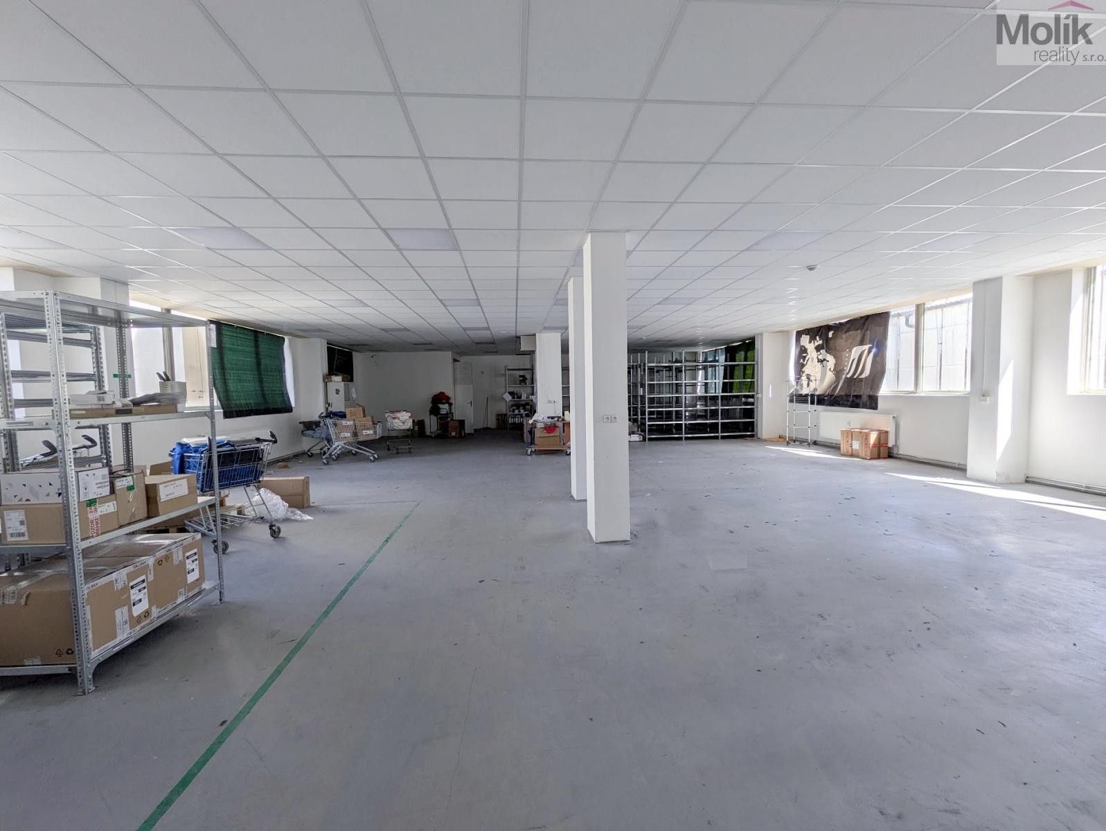 Pronájem komerčního prostoru 351 m² - foto 4