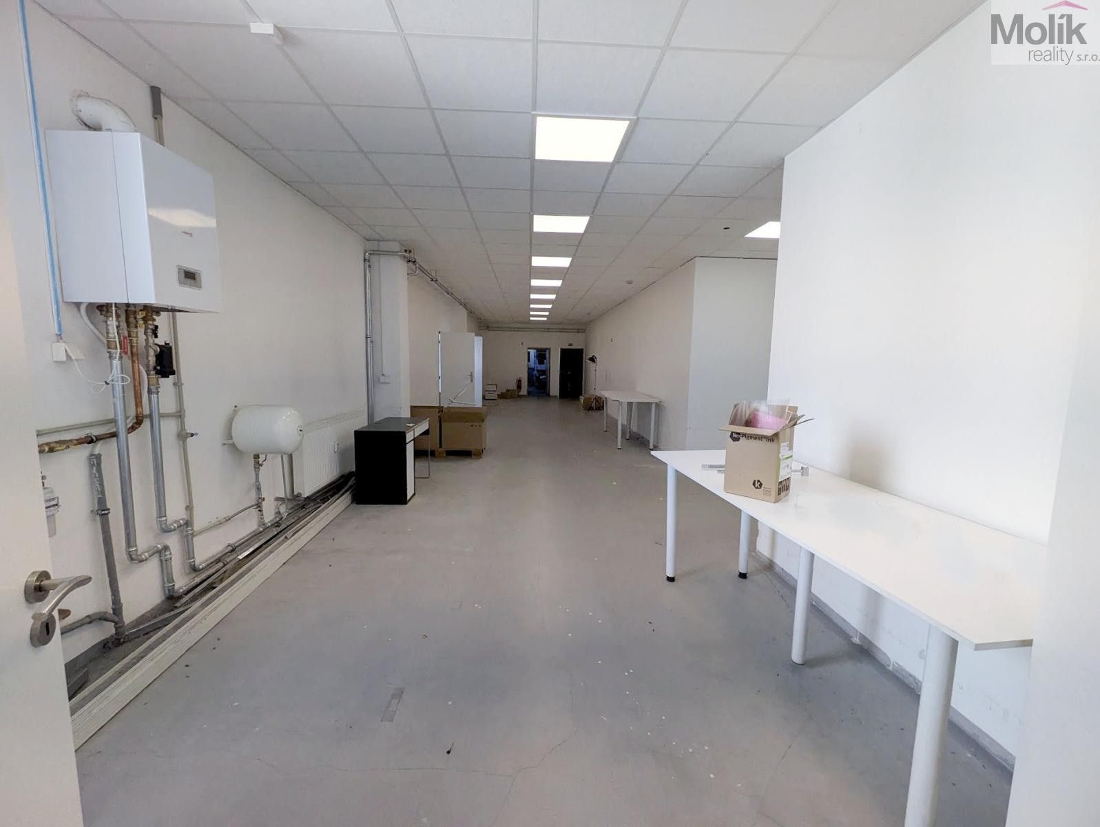 Pronájem komerčního prostoru 351 m² - foto 8