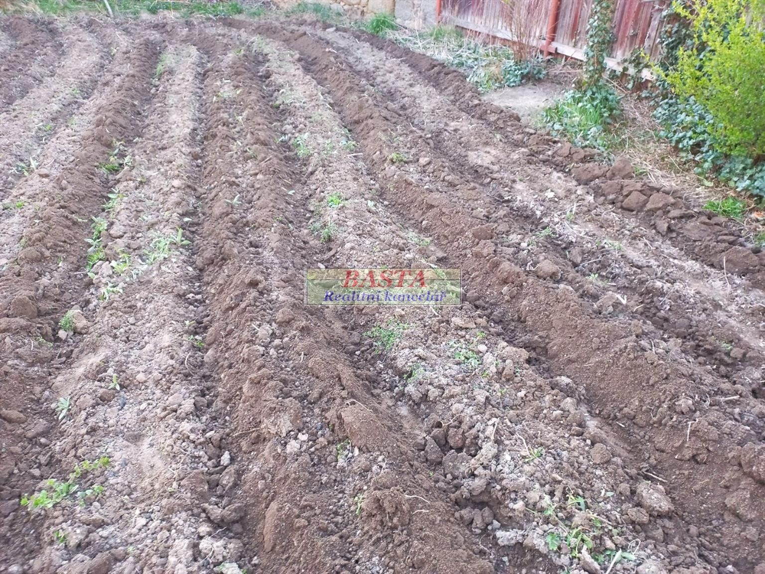 Pronájem pozemku 125 m² - foto 7