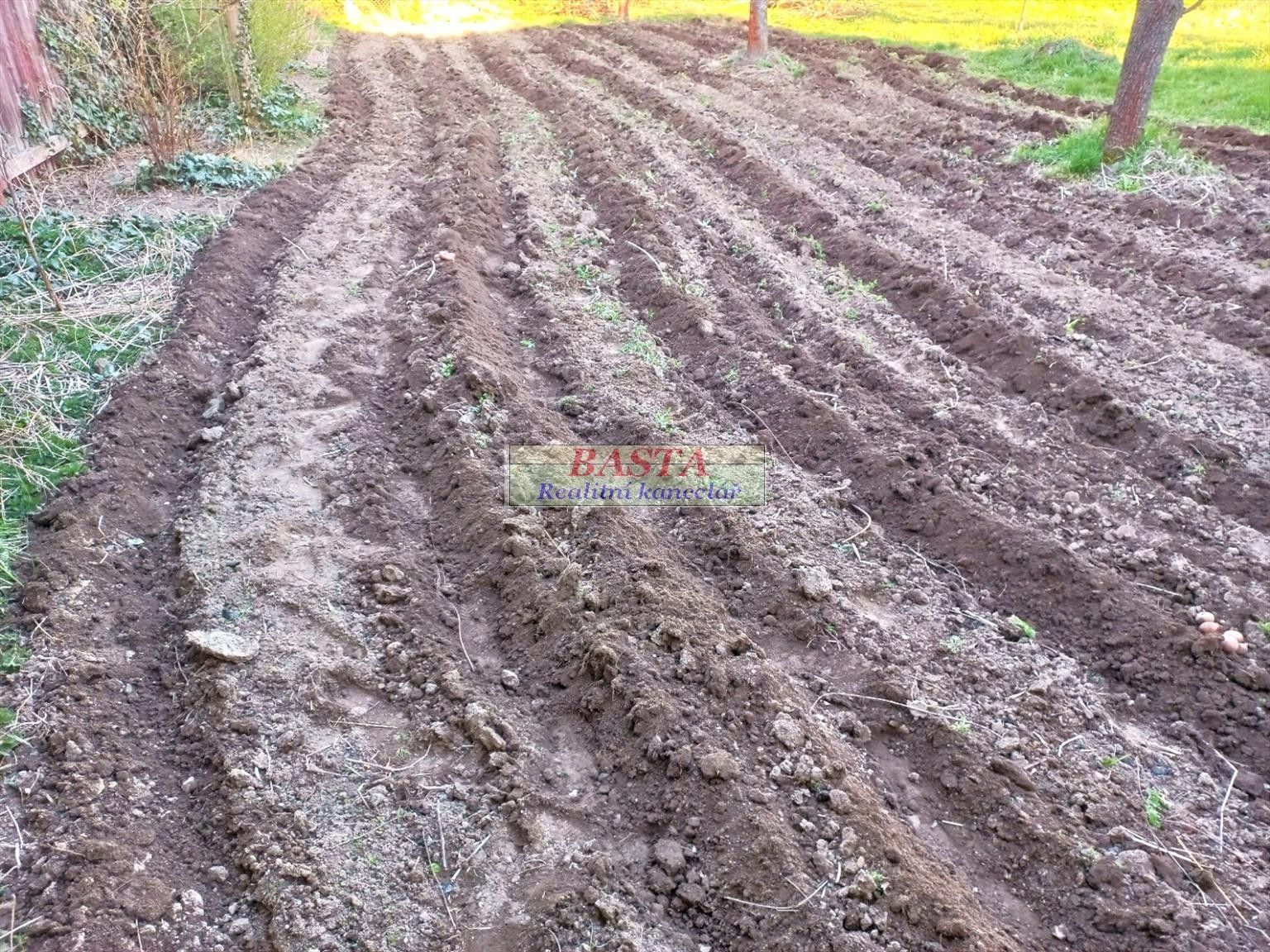 Pronájem pozemku 125 m² - foto 9