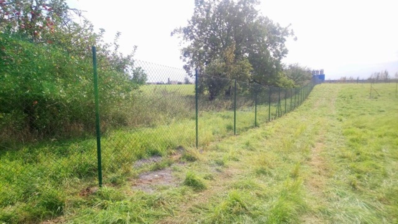 Pronájem pozemku 384 m² - foto 7
