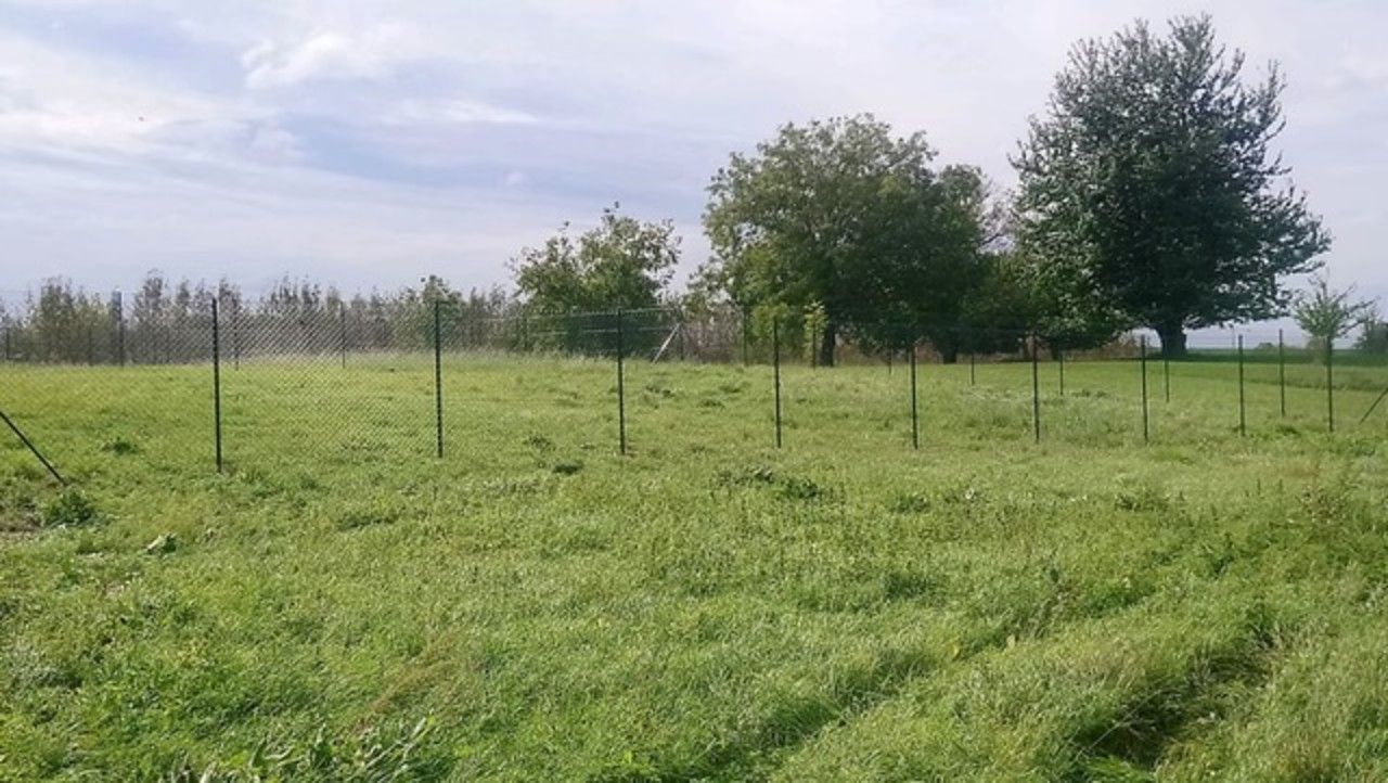Pronájem pozemku 384 m² - foto 8