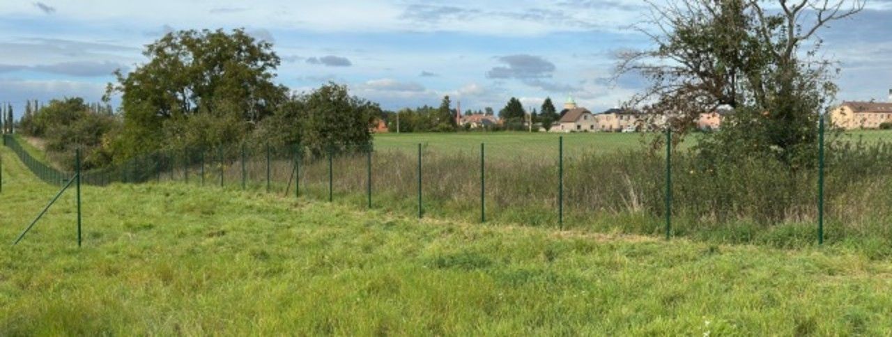 Pronájem pozemku 384 m² - foto 6