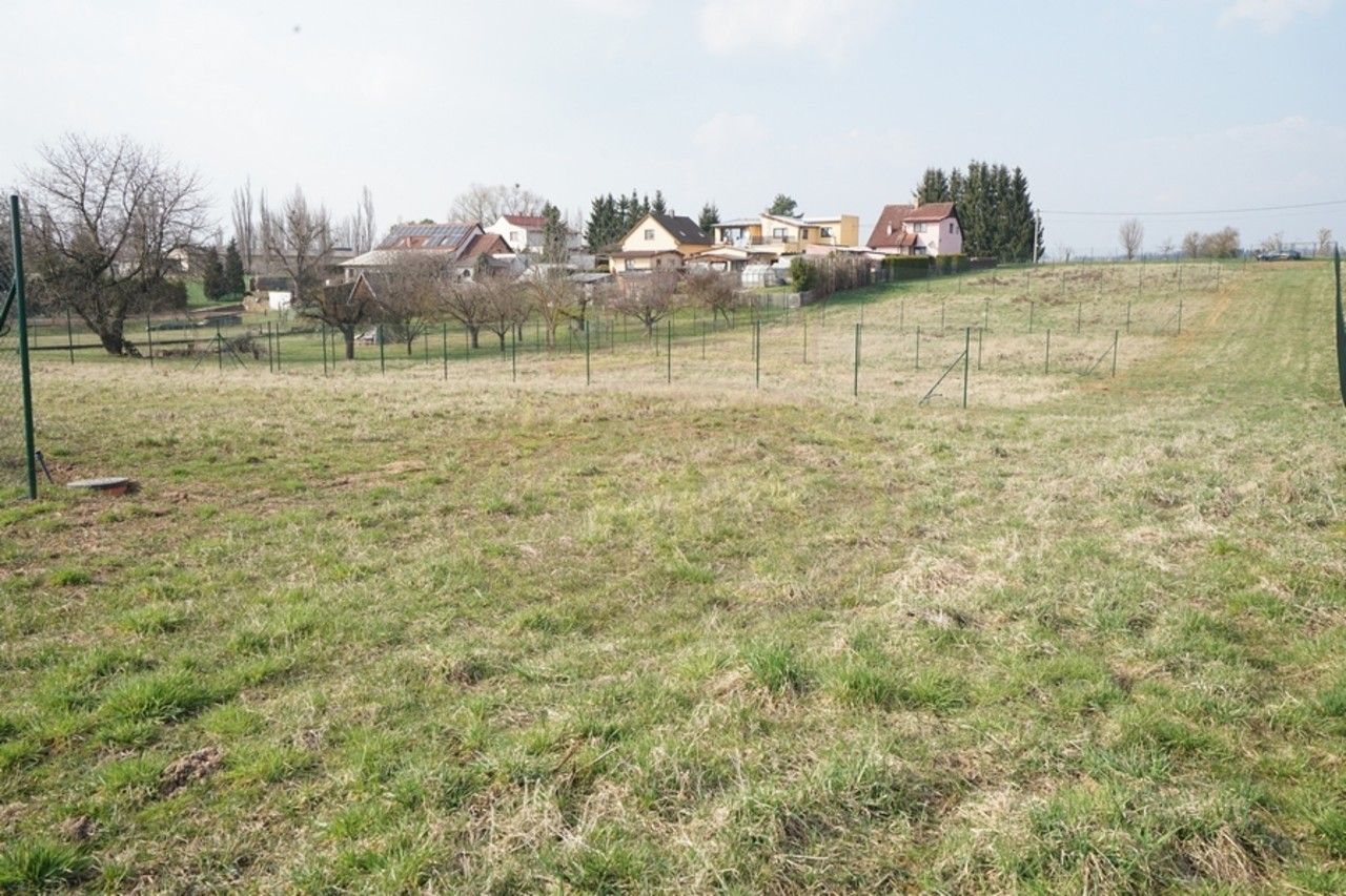 Pronájem pozemku 384 m² - foto 9