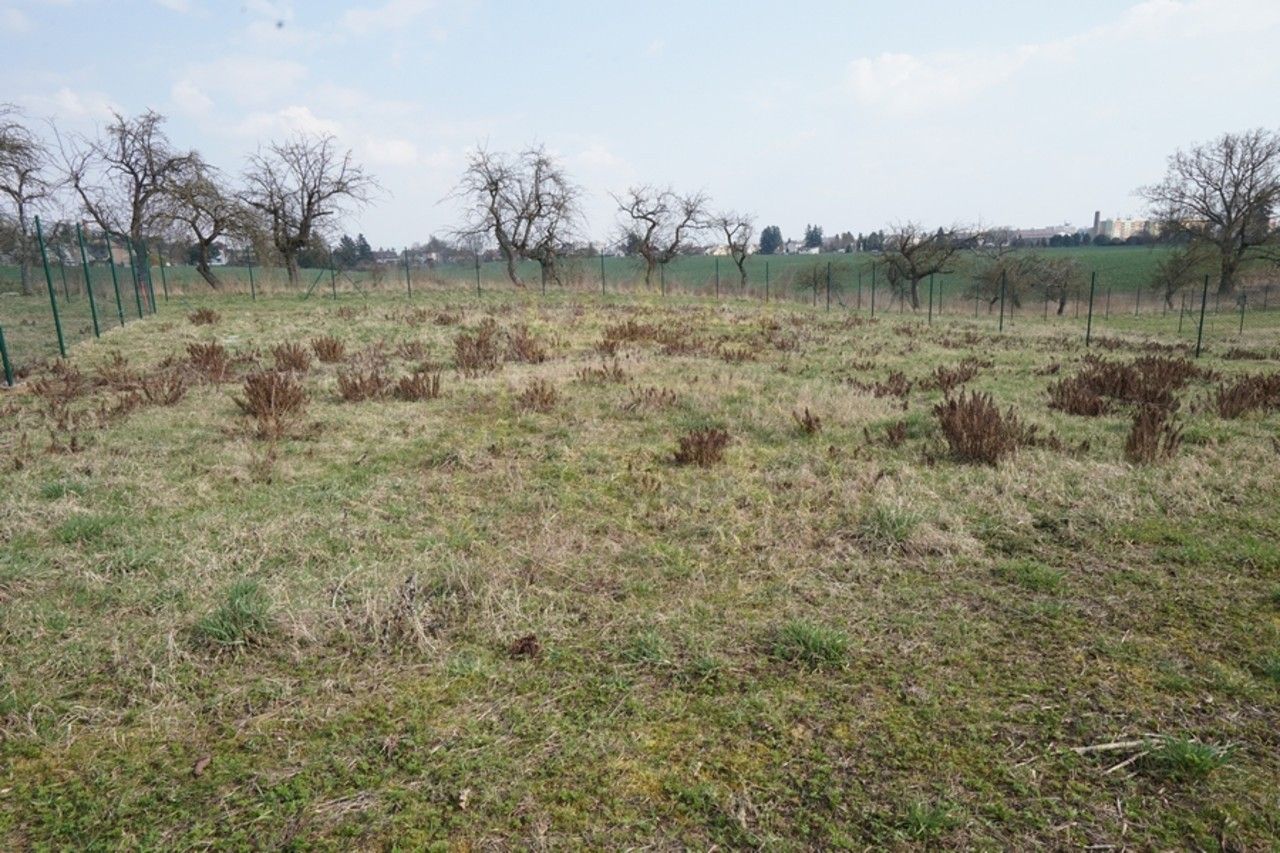 Pronájem pozemku 384 m² - foto 12
