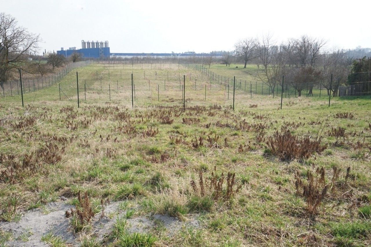 Pronájem pozemku 384 m² - foto 11