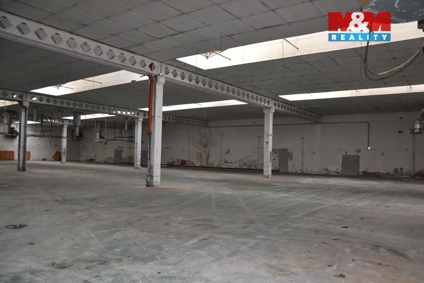 Pronájem komerčního prostoru 4000 m² - foto 3