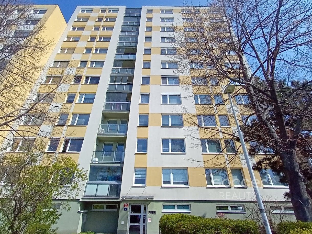 Pronájem bytu 3+1 65 m² - foto 10
