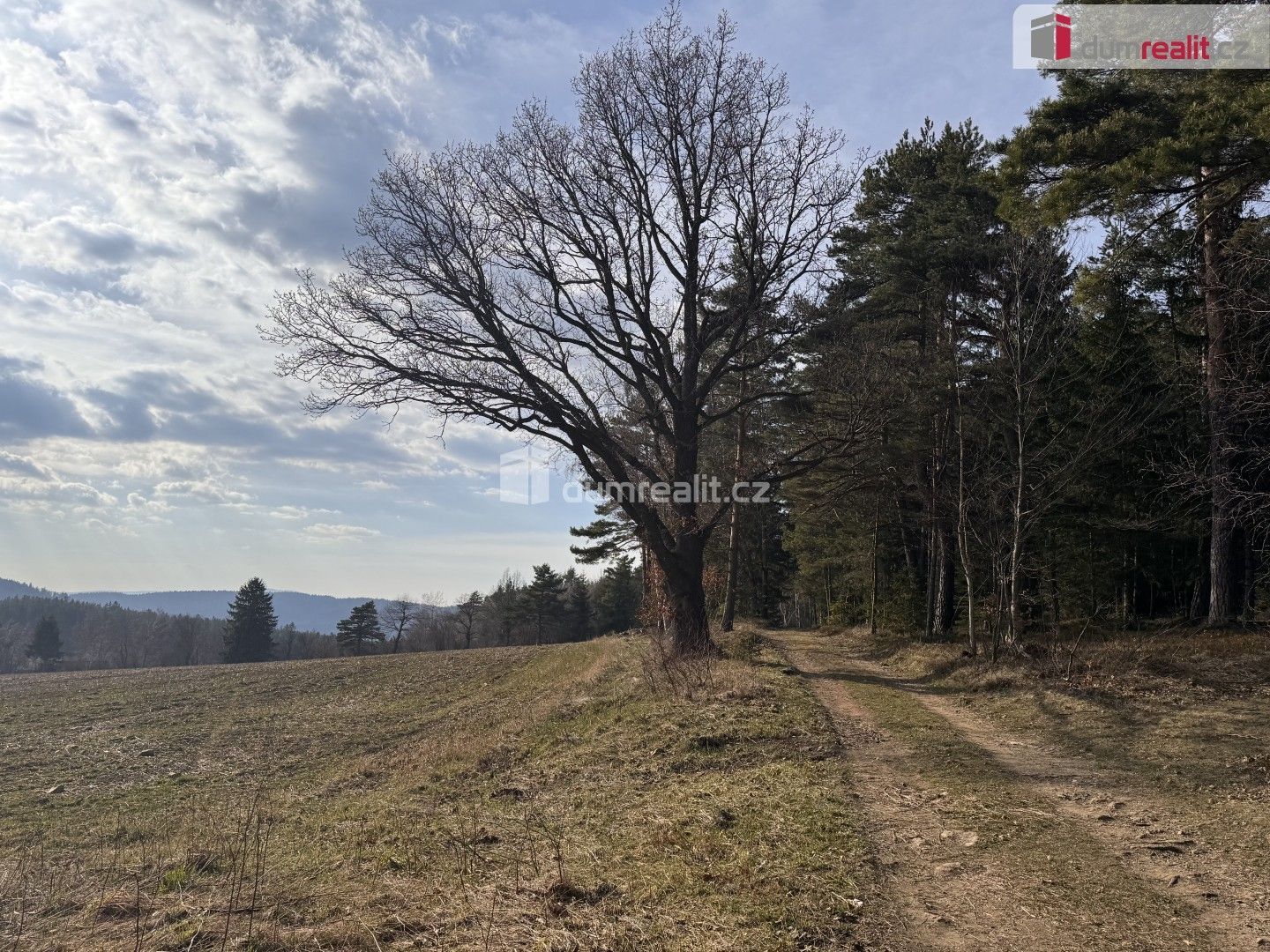Prodej pozemku 11340 m² - foto 11