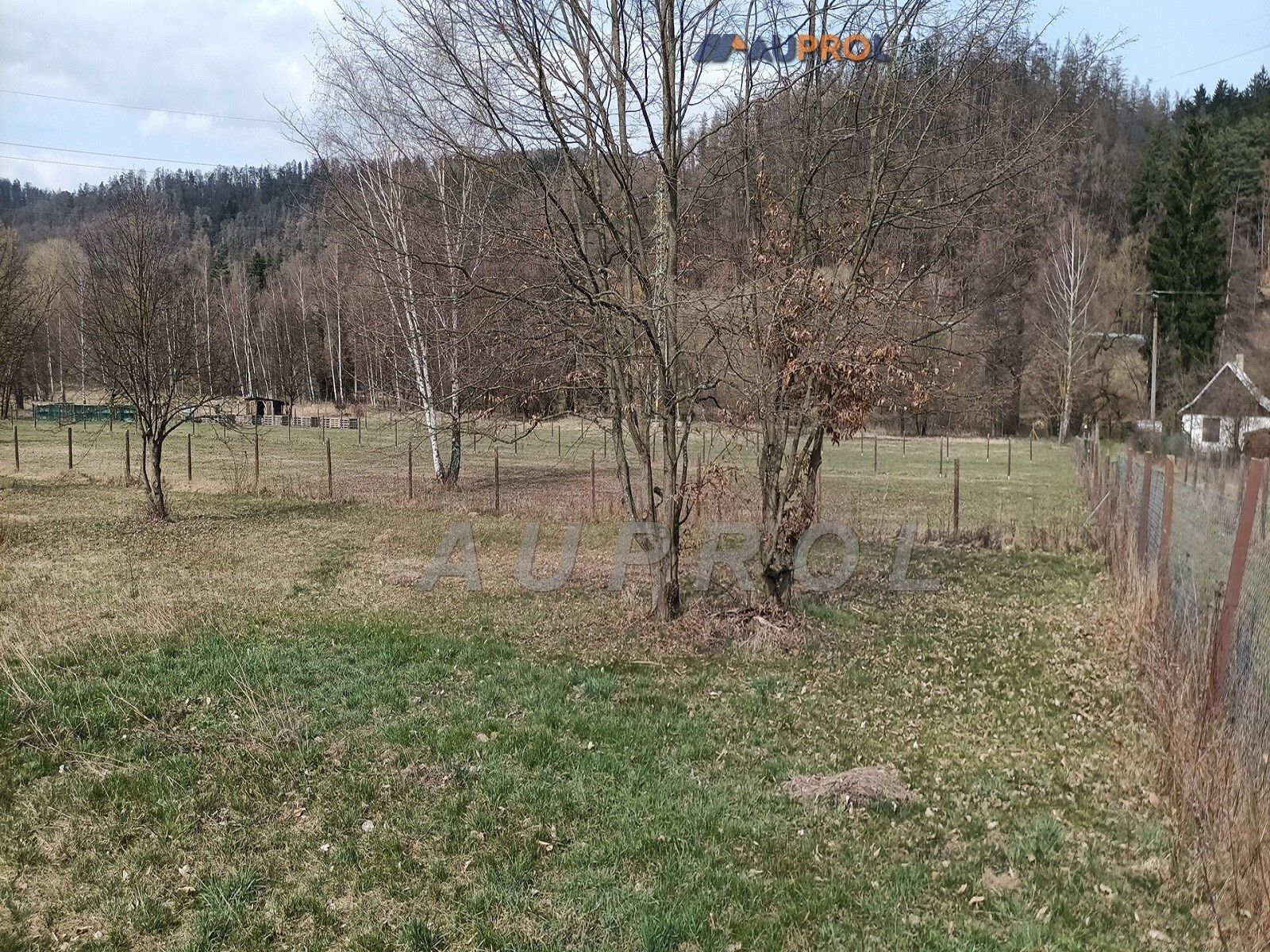 Prodej pozemku 3079 m² - foto 4