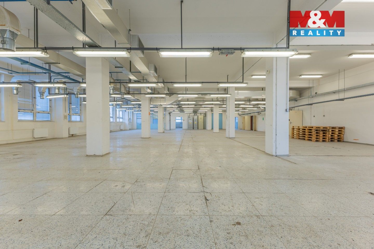 Pronájem komerčního prostoru 724 m² - foto 4