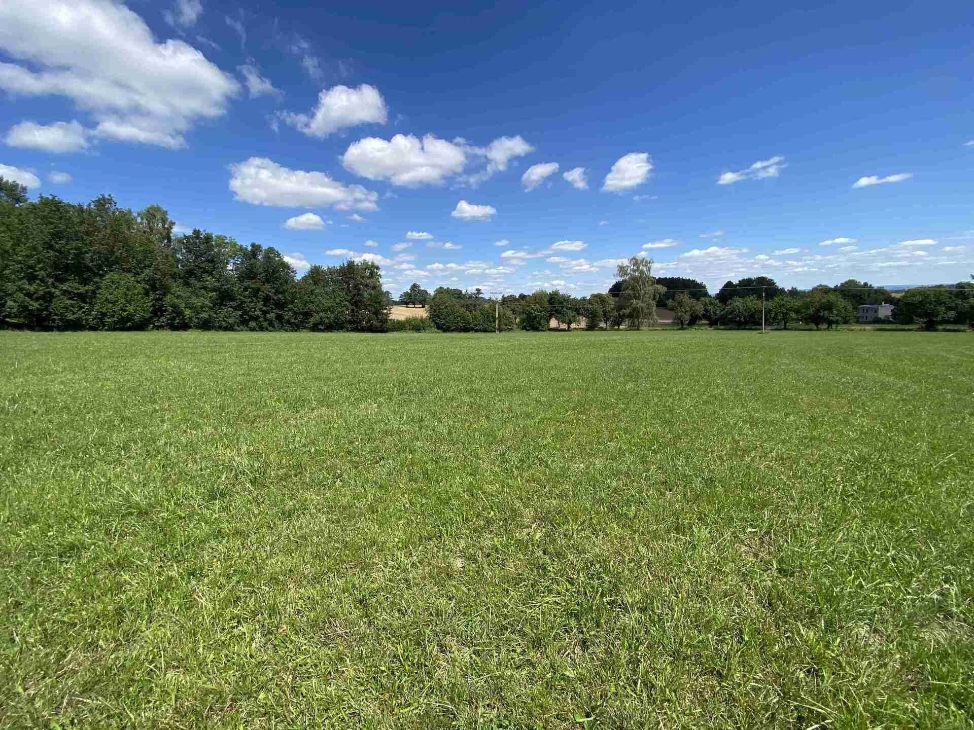 Prodej nemovitosti 3466 m² - foto 3