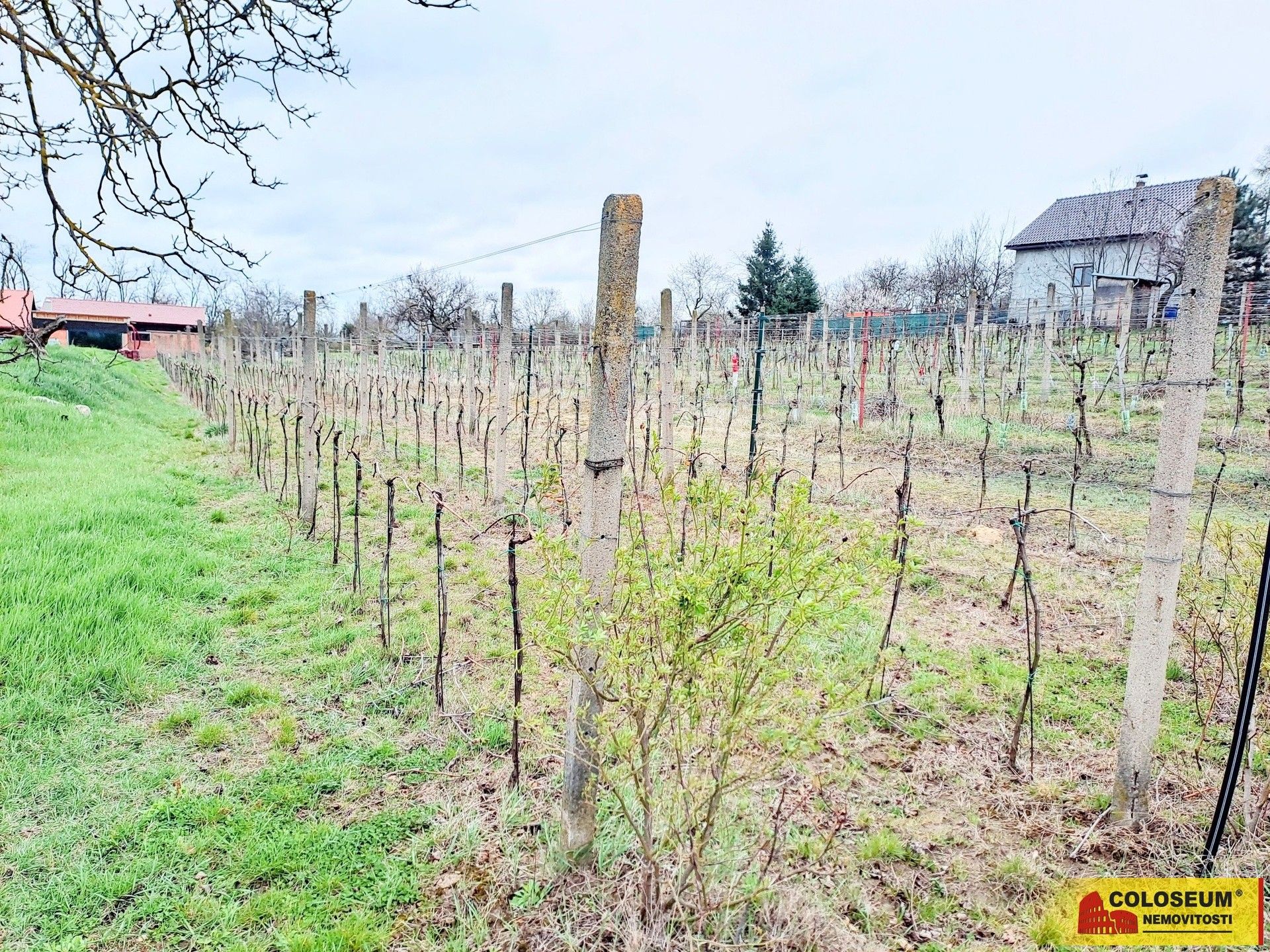 Prodej pozemku 3428 m² - foto 19
