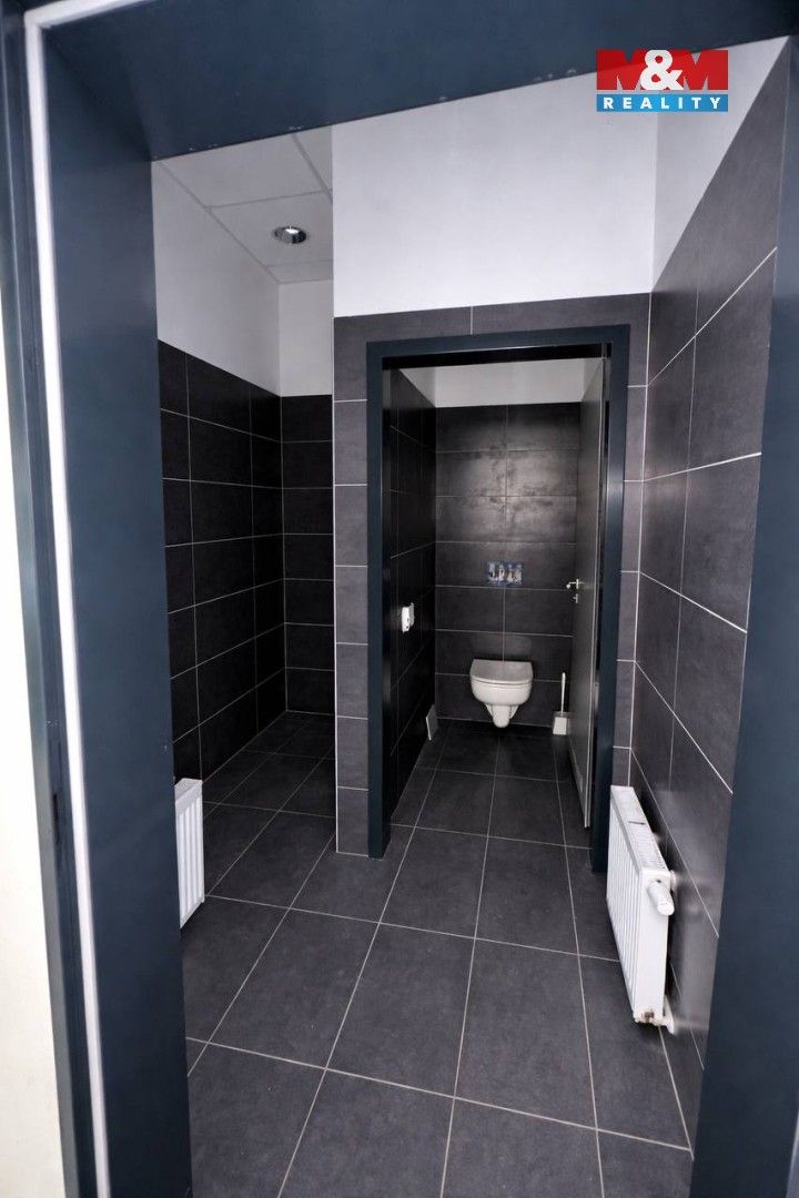 Pronájem komerčního prostoru 365 m² - foto 7