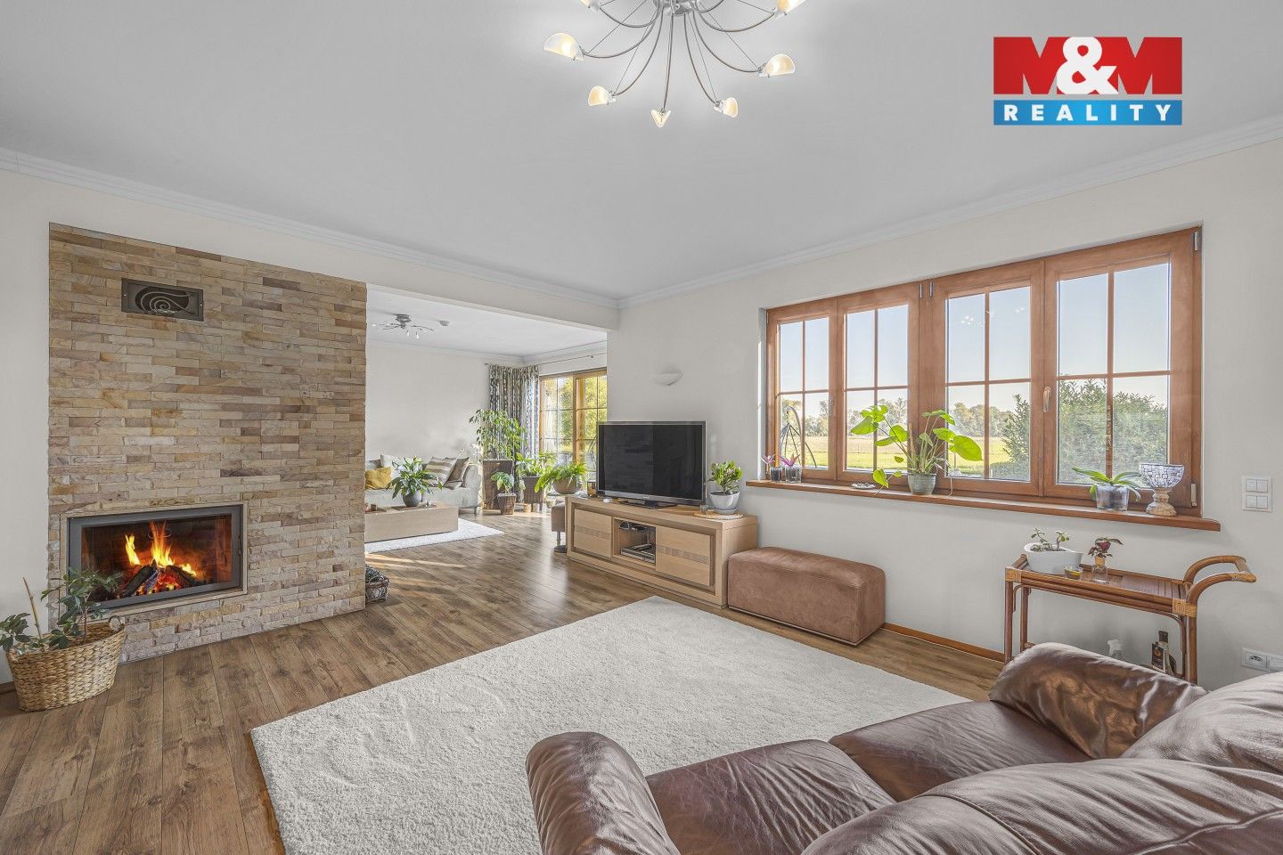 Prodej nemovitosti 360 m² - foto 7