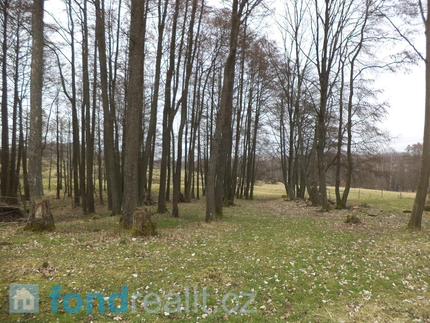 Prodej pozemku 1221 m² - foto 4