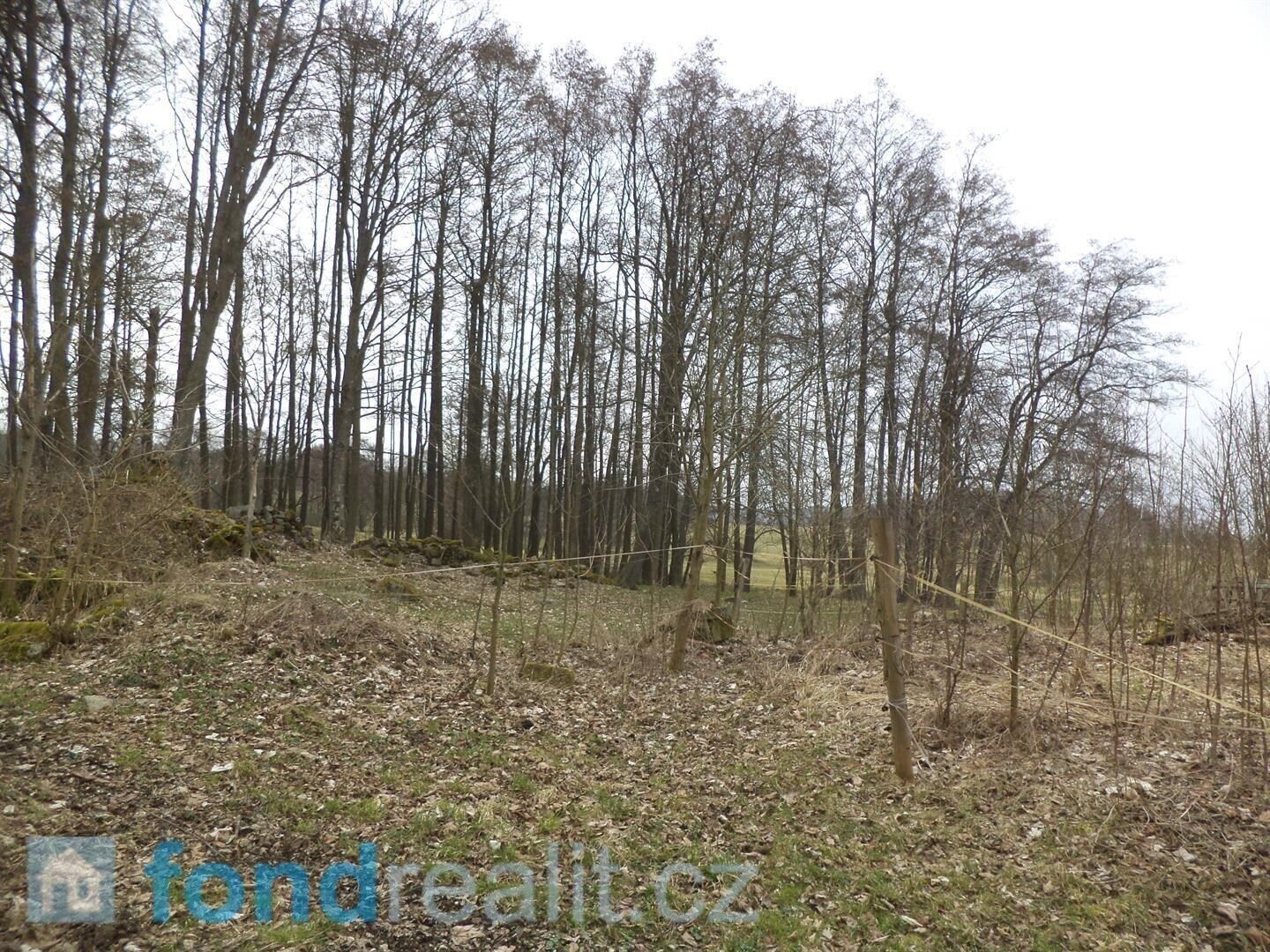 Prodej pozemku 1221 m² - foto 1