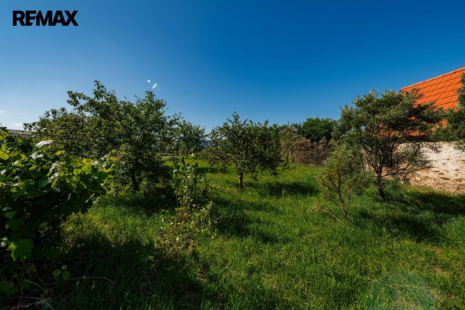 Prodej pozemku 1355 m² - foto 2