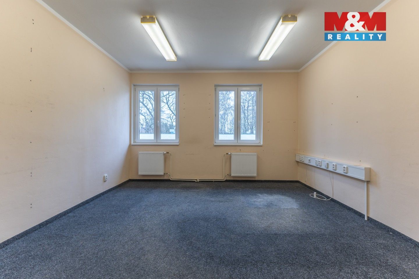 Pronájem komerčního prostoru 255 m² - foto 4