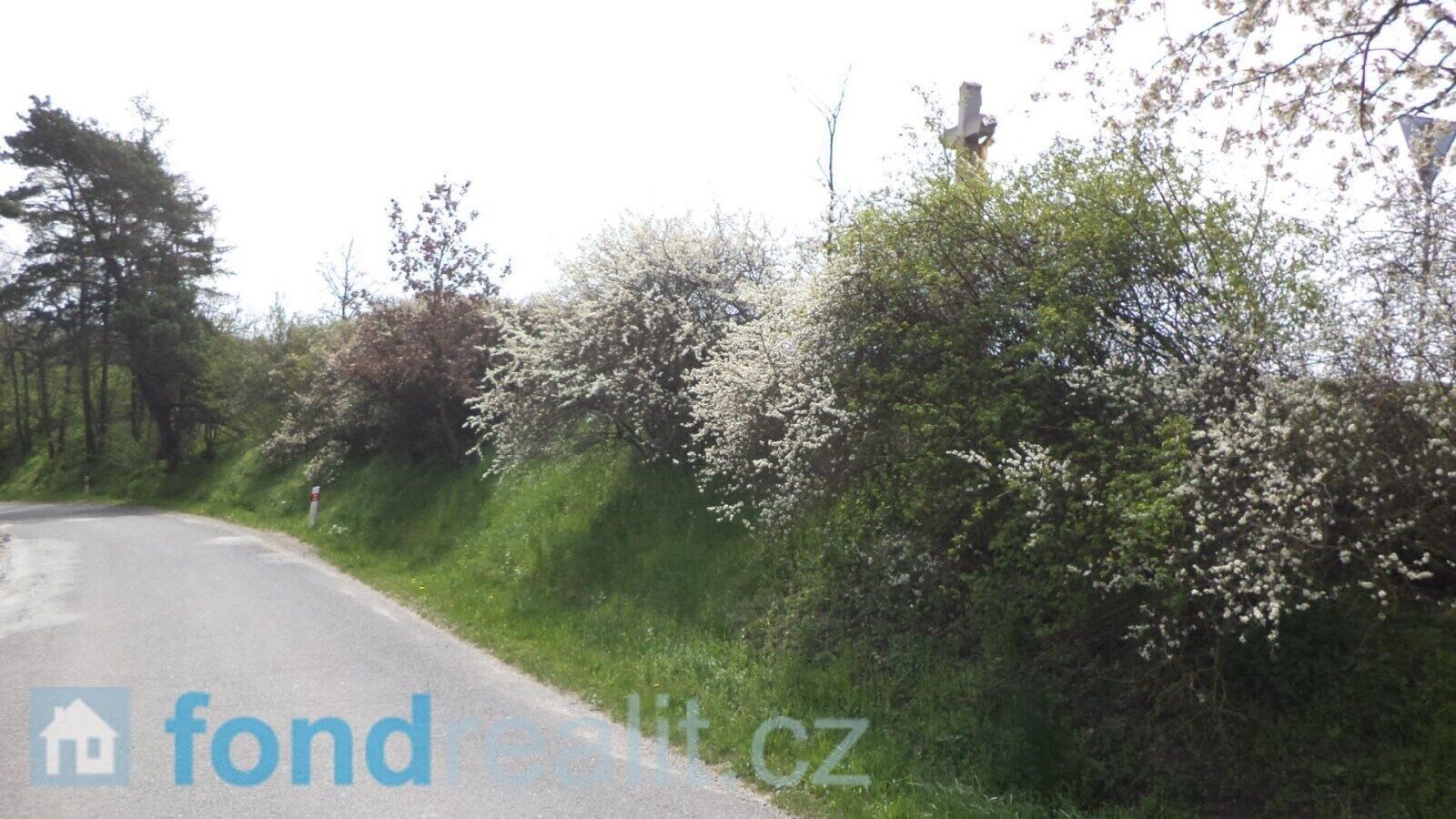 Prodej nemovitosti 1277 m² - foto 6