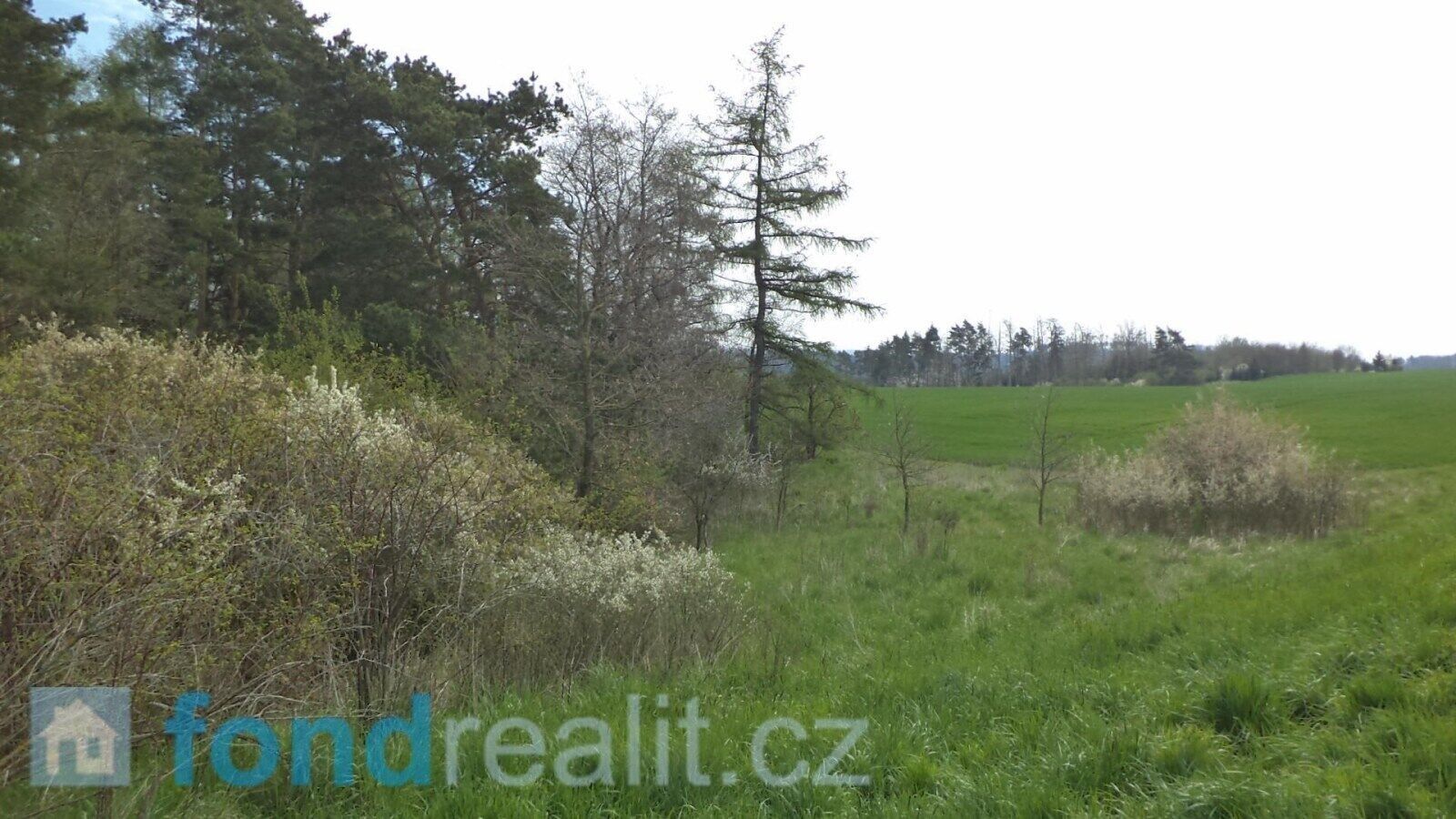 Prodej nemovitosti 1277 m² - foto 4
