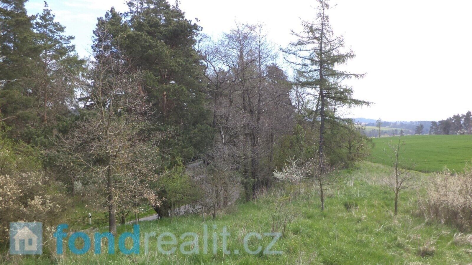 Prodej nemovitosti 1277 m² - foto 5