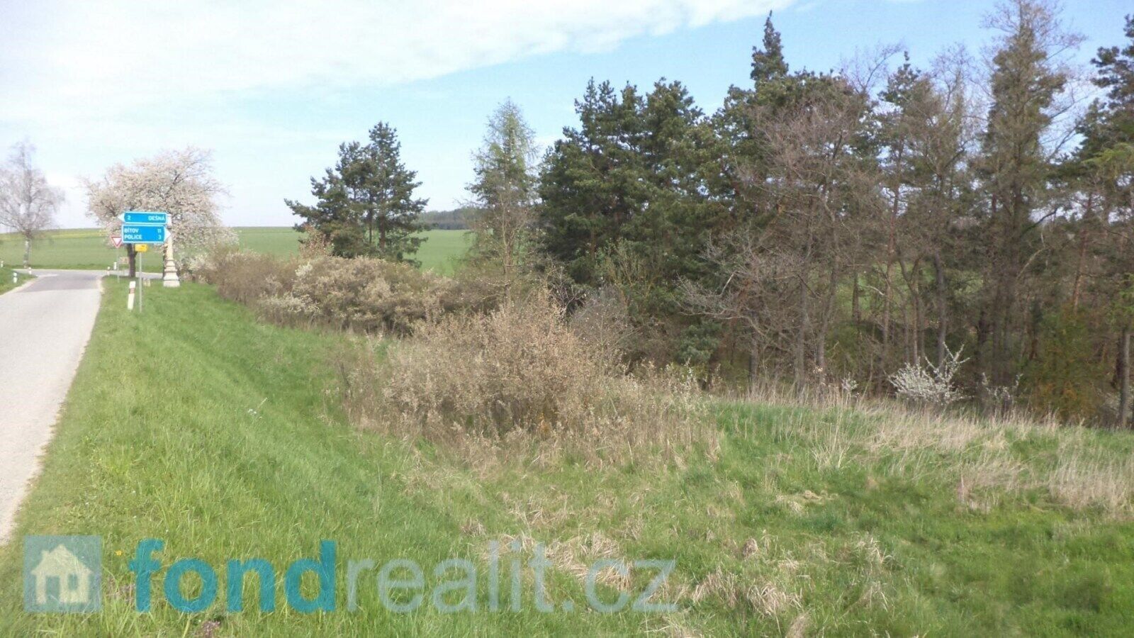 Prodej nemovitosti 1277 m² - foto 3