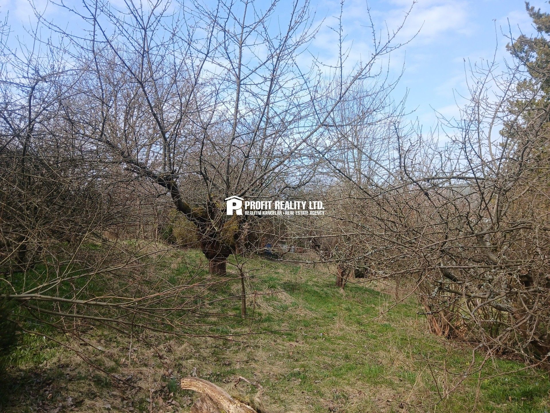 Prodej pozemku 973 m² - foto 14