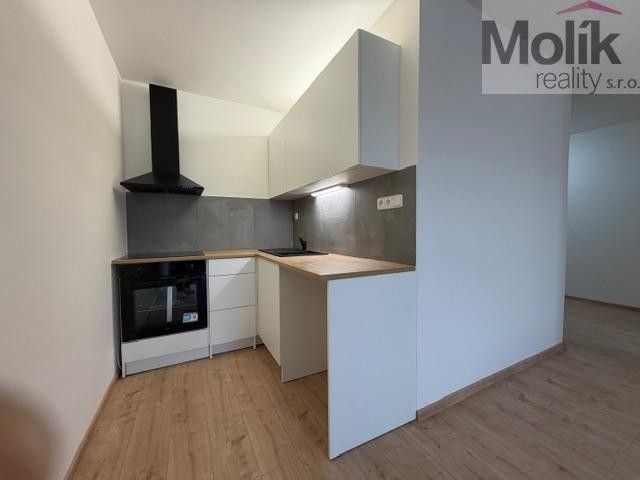 Pronájem bytu 2+kk 39 m² - foto 4