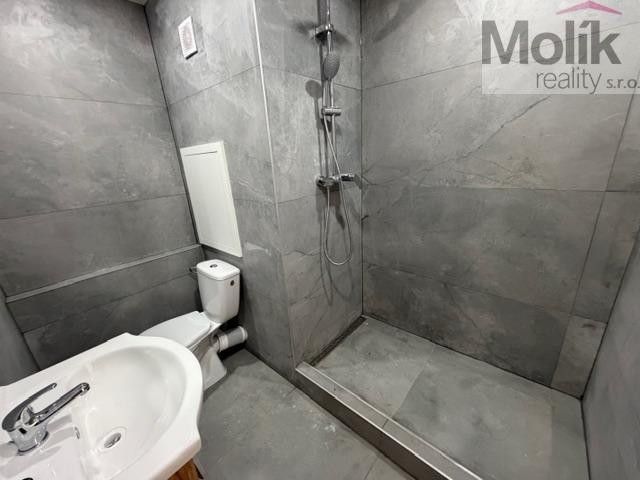 Pronájem bytu 2+kk 39 m² - foto 6