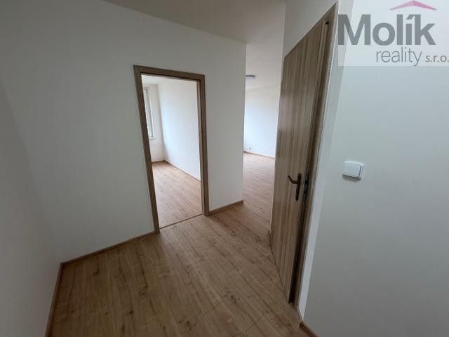 Pronájem bytu 2+kk 39 m² - foto 11