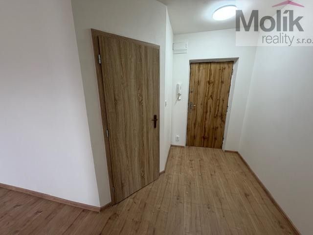 Pronájem bytu 2+kk 39 m² - foto 10