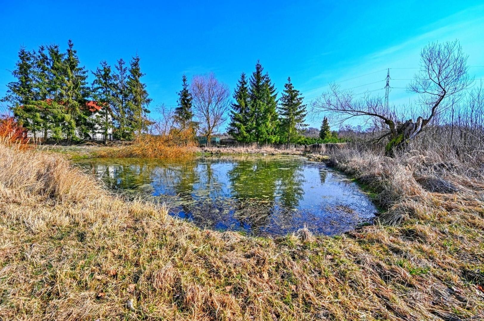 Prodej nemovitosti 410 m² - foto 18