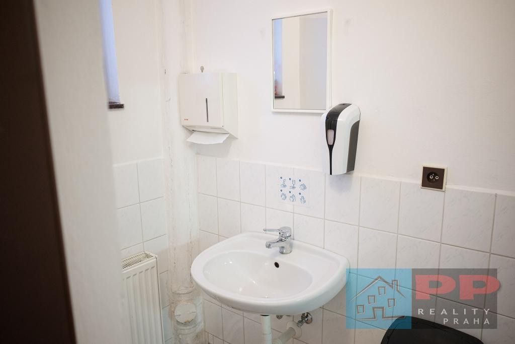 Prodej nemovitosti 264 m² - foto 12
