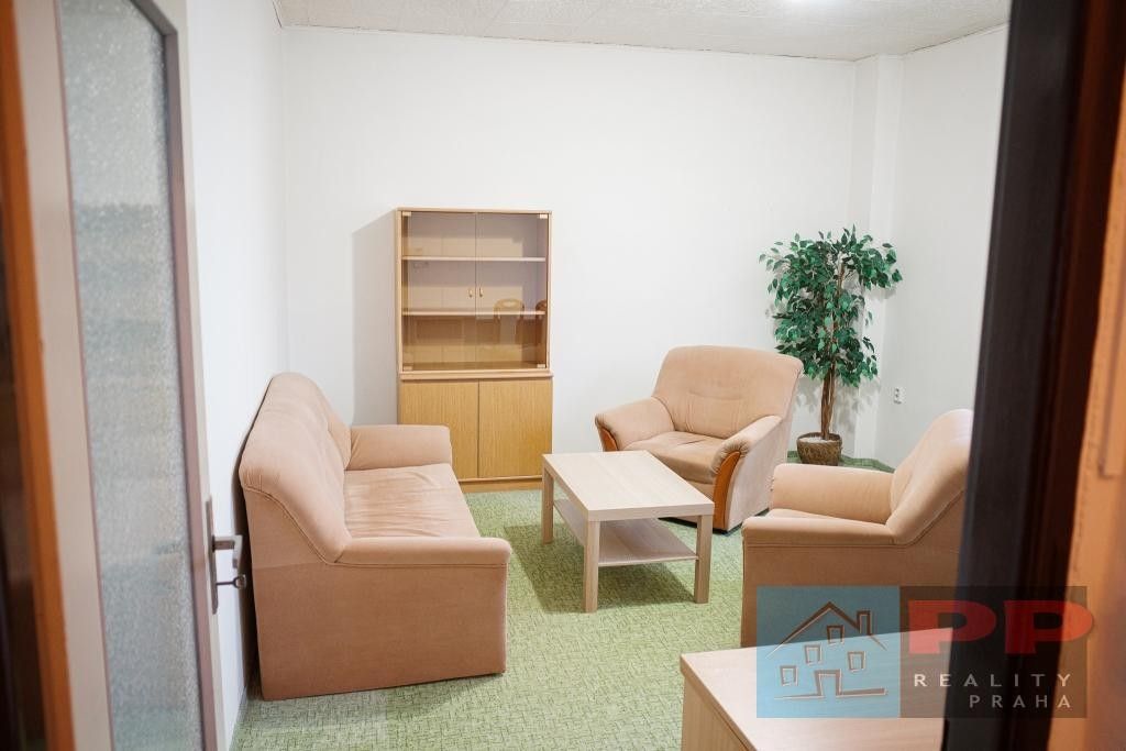 Prodej nemovitosti 264 m² - foto 13