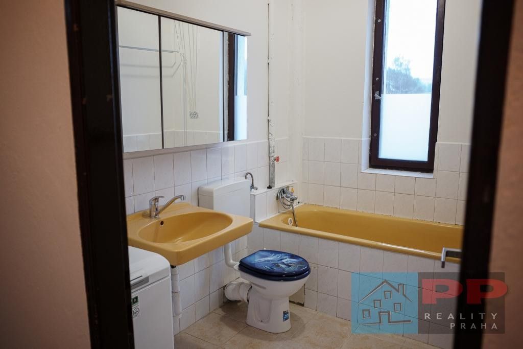 Prodej nemovitosti 264 m² - foto 18