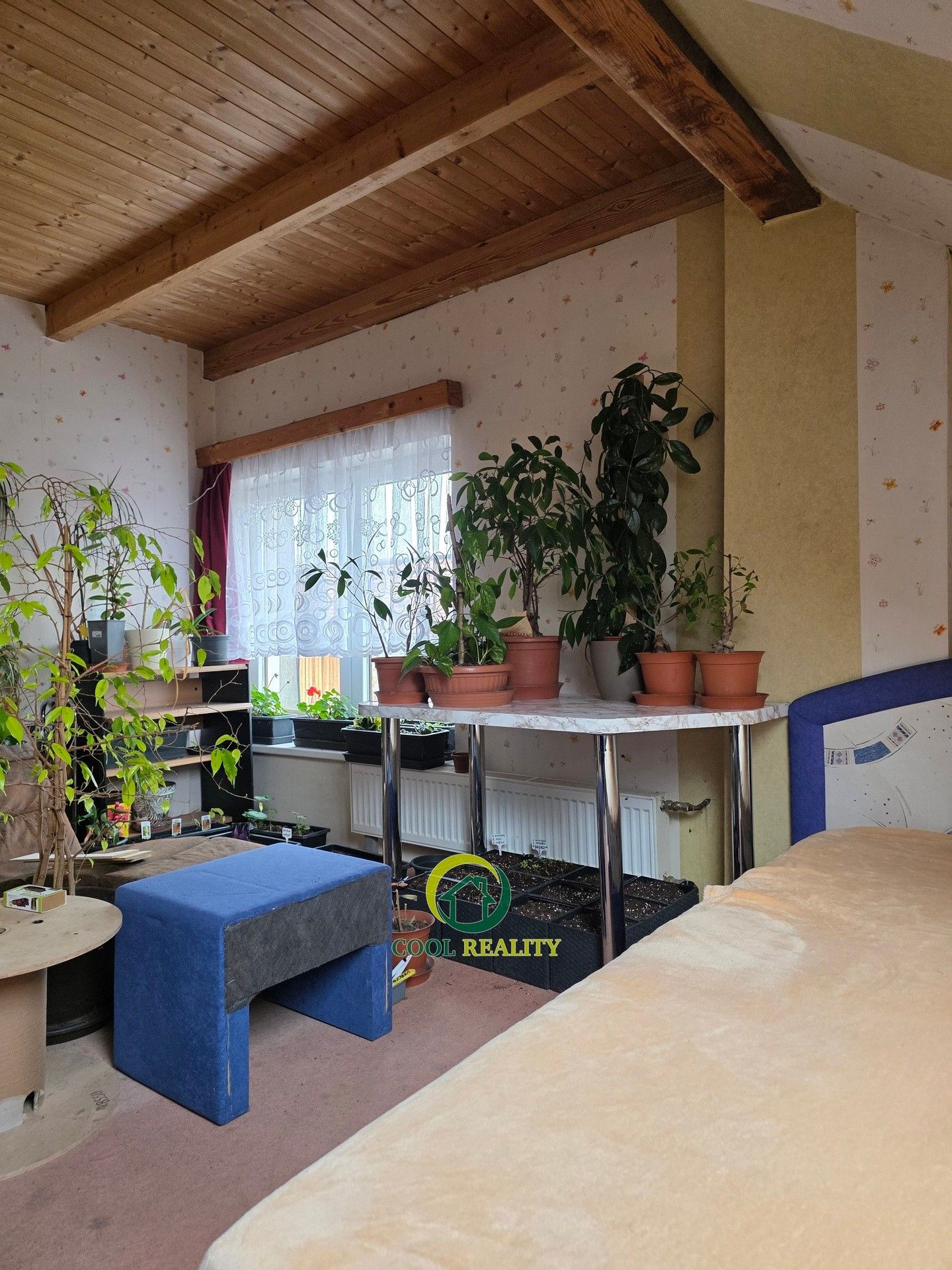 Prodej domu 230 m² - foto 6