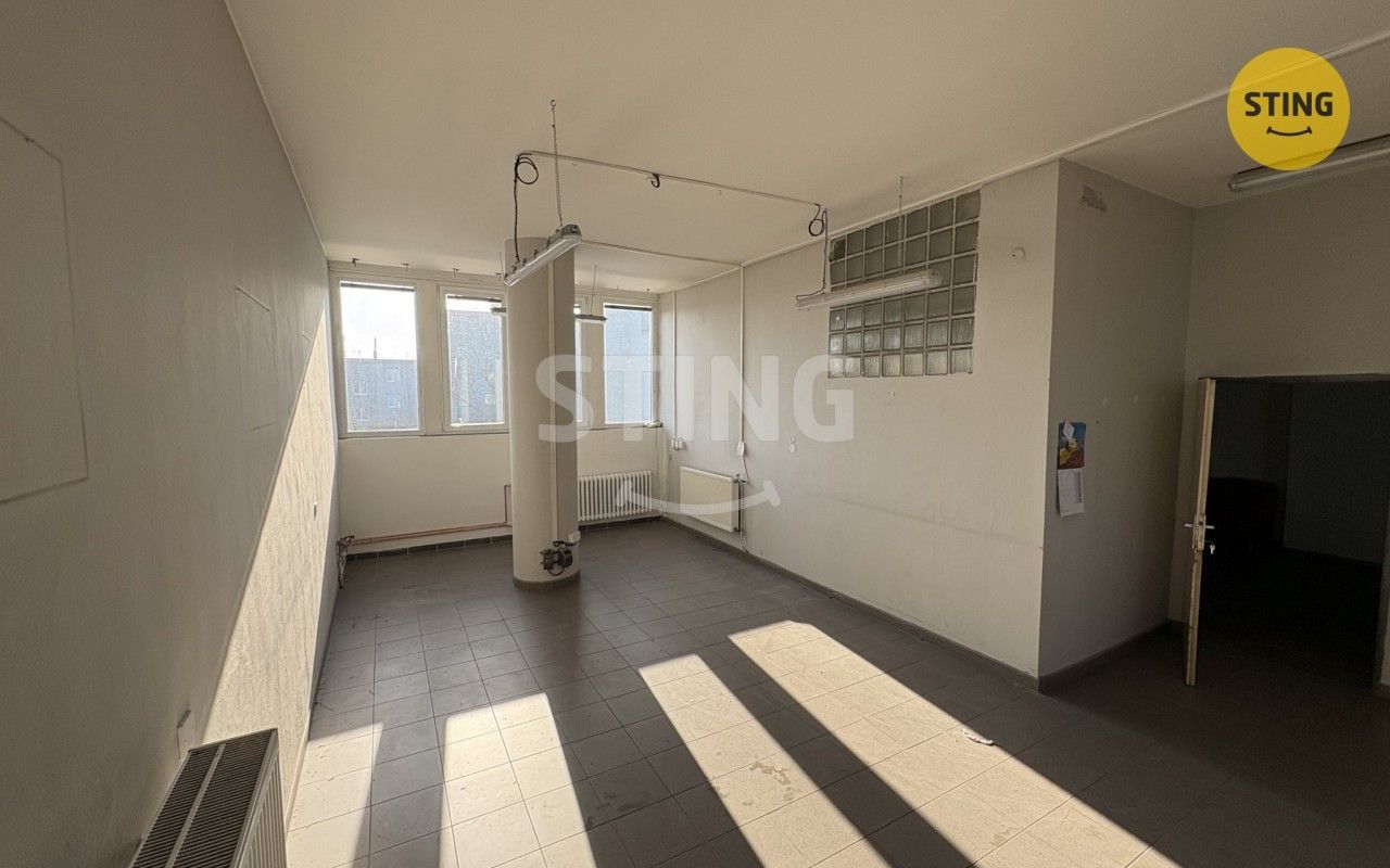 Pronájem komerčního prostoru 128 m² - foto 9