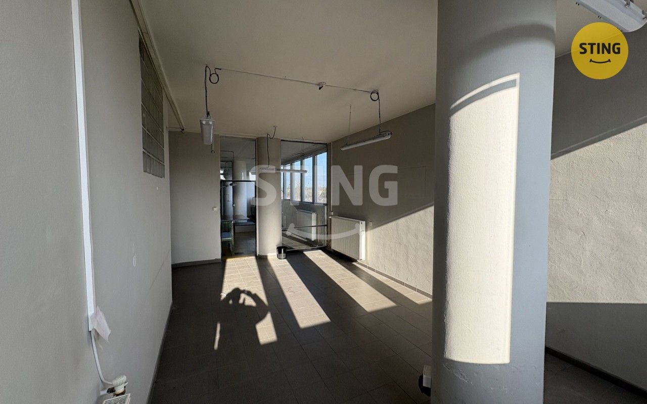 Pronájem komerčního prostoru 128 m² - foto 10