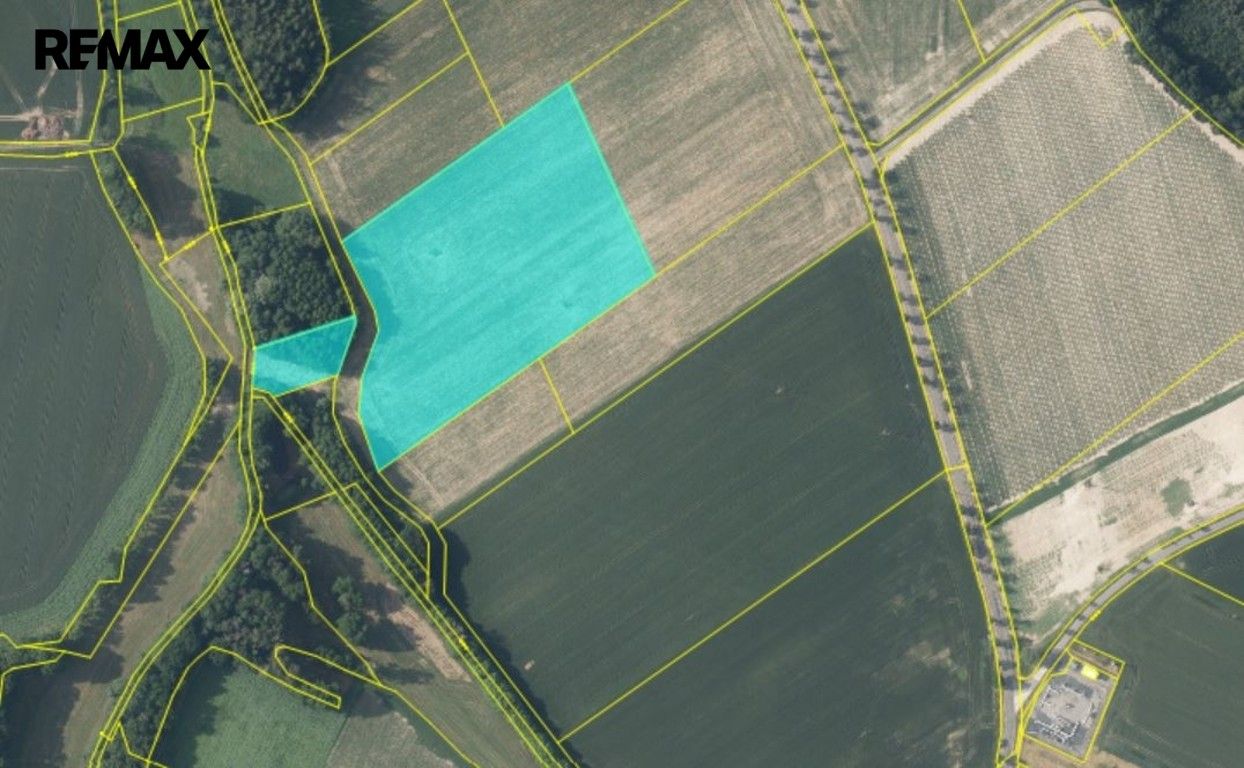 Prodej pozemku 22505 m² - foto 6