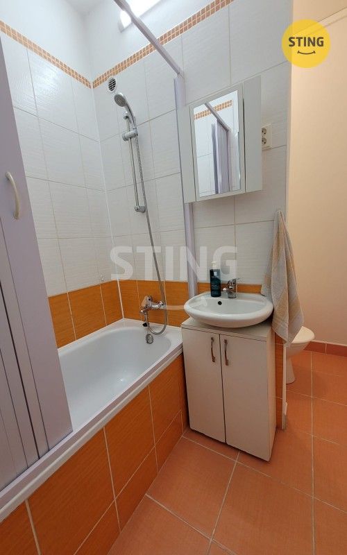 Pronájem bytu 2+1 43 m² - foto 7