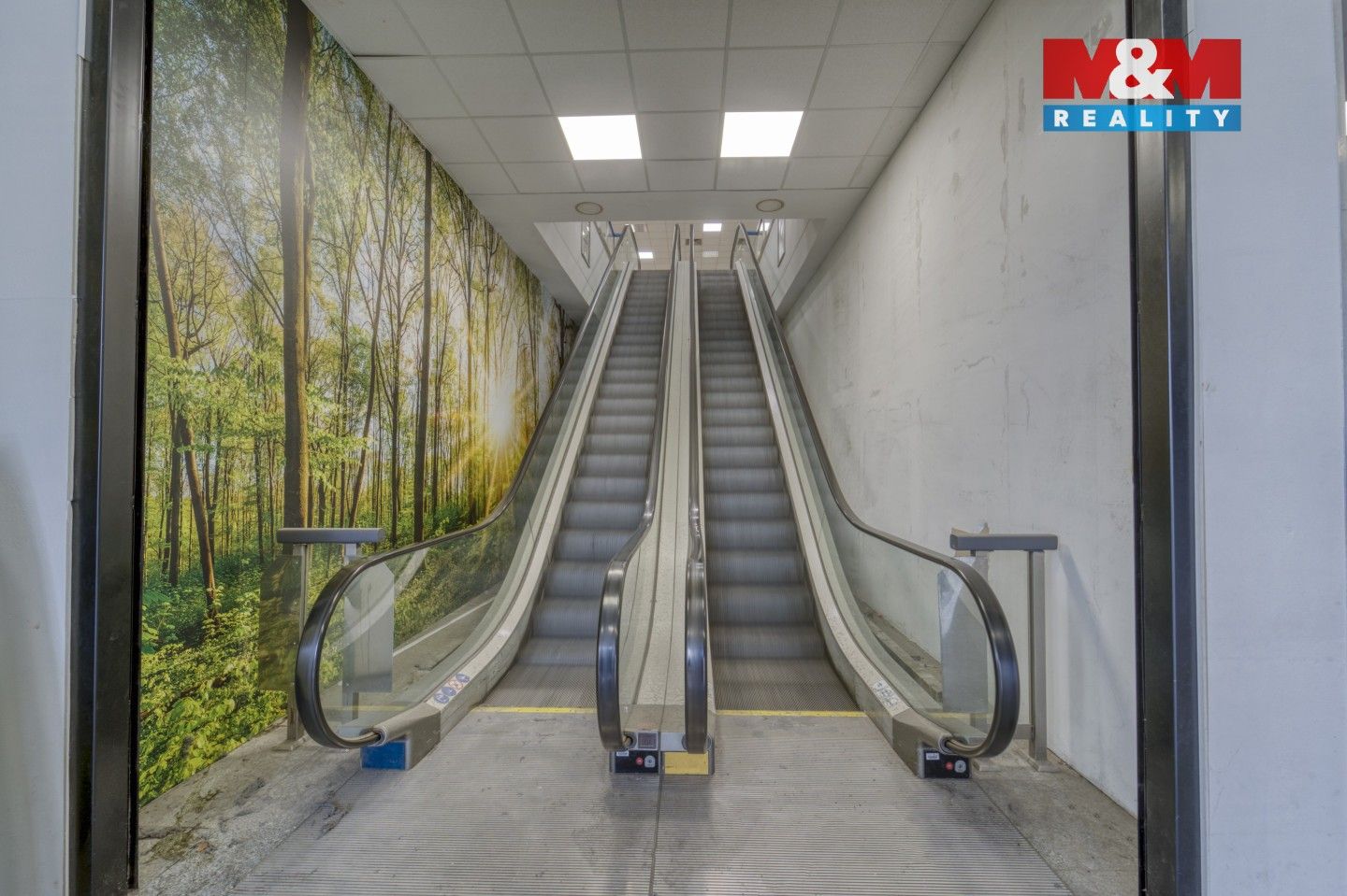 Pronájem komerčního prostoru 1603 m² - foto 14