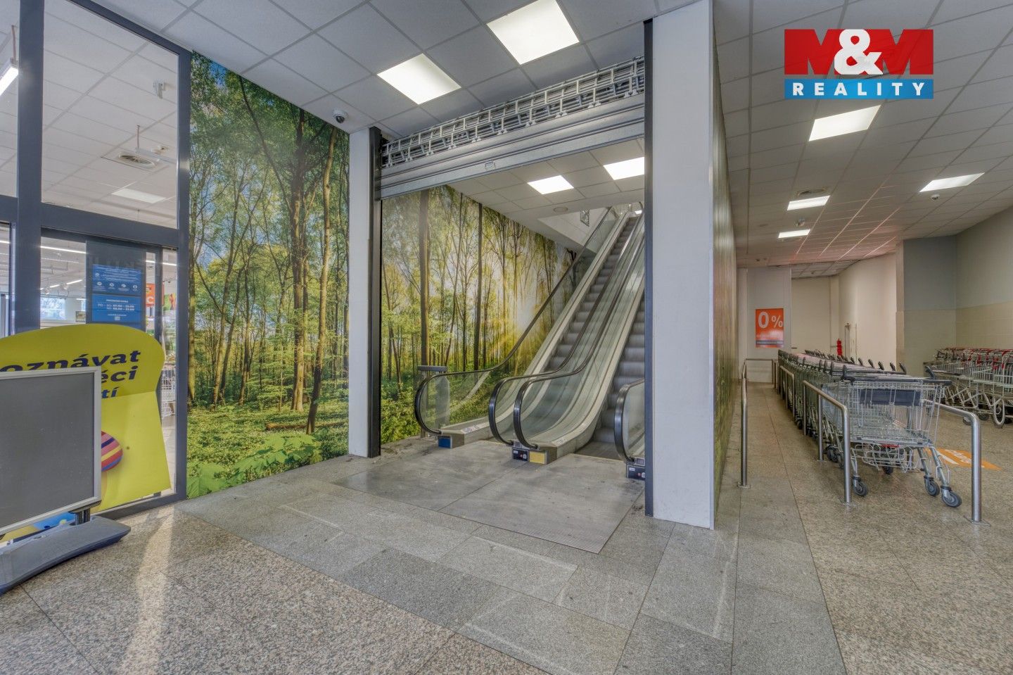 Pronájem komerčního prostoru 1603 m² - foto 15